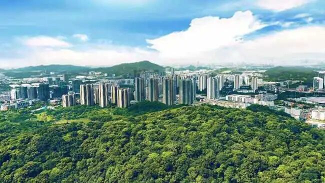 黄埔“*”振业天成在售105-165㎡四房，价格4.7万/㎡！