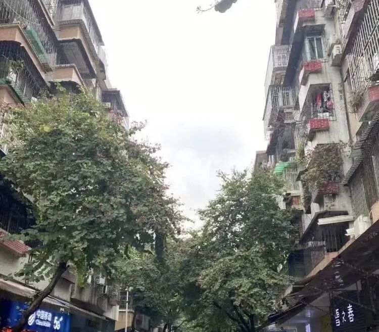 番禺南天名苑怎么样？值不值得买？优点、缺点分析！