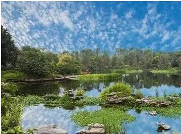 广州海珠区珠江壹号49㎡-95㎡，4.5米层高Loft公寓、独立产权