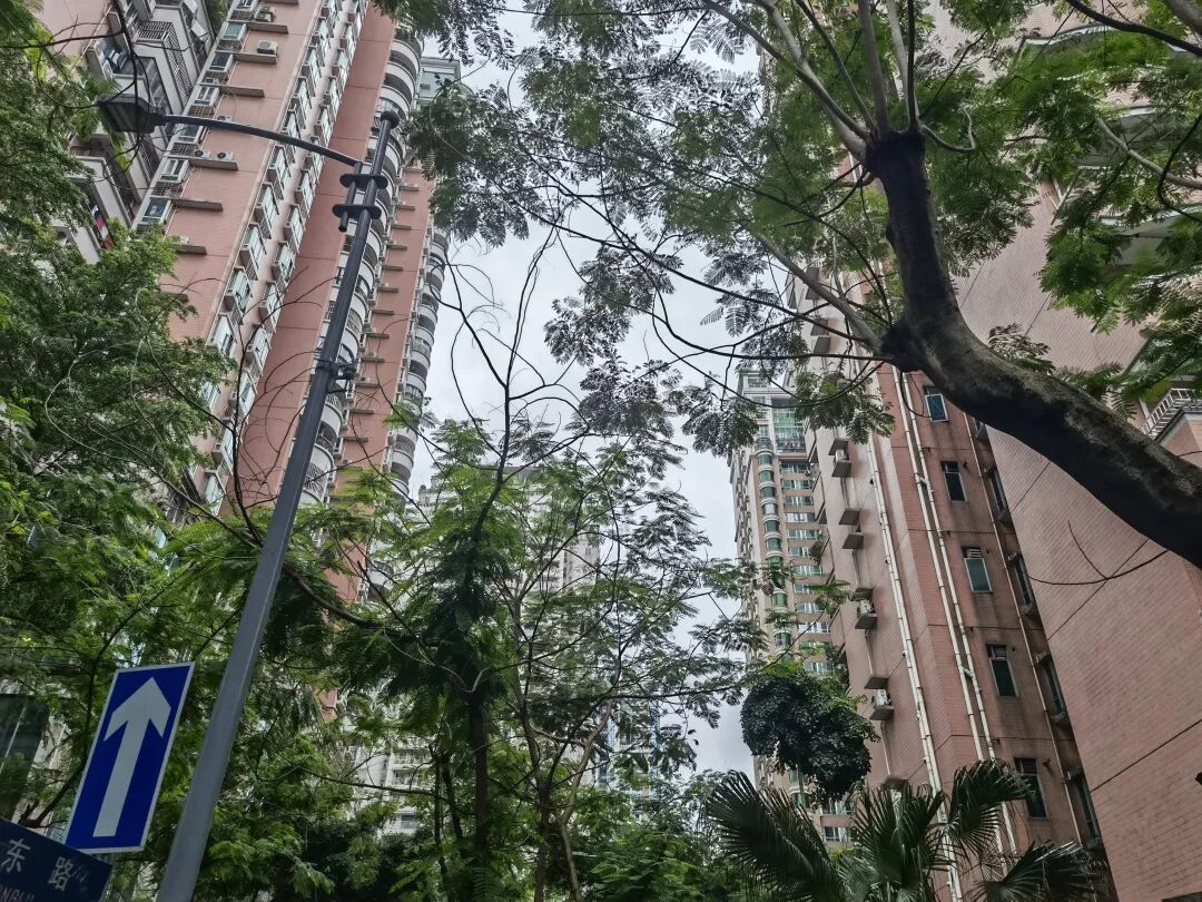 天河北二手房小区，华标广场小区选房指南！