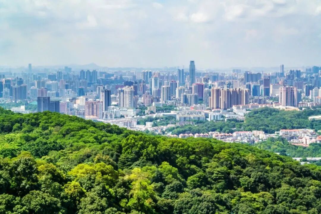 广州白云珠光云山壹号，214方山居大平层1520万！