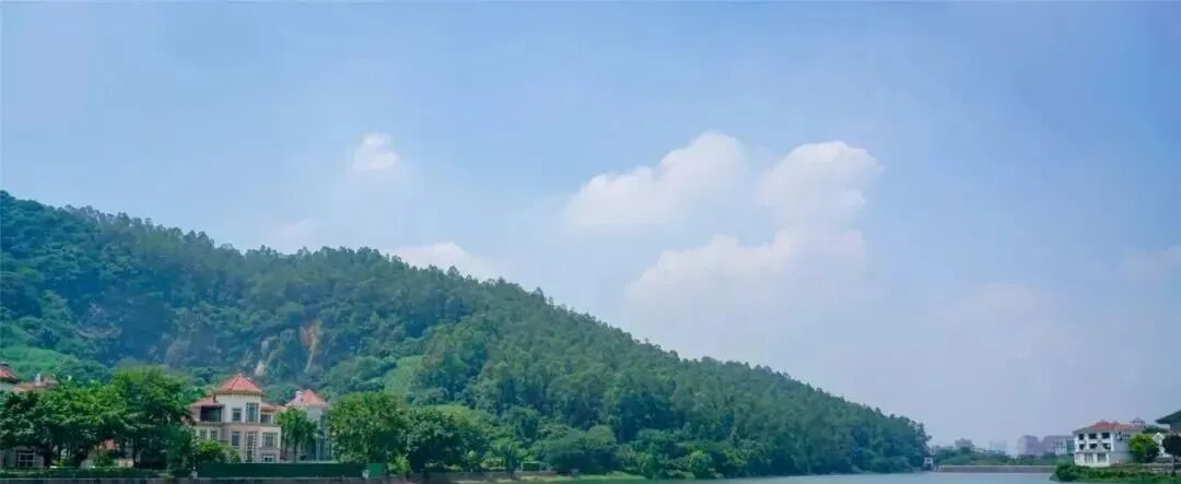 广州白云【金湖花园】 全新一期—天岚97-167㎡低密板式洋房， *山湖资源