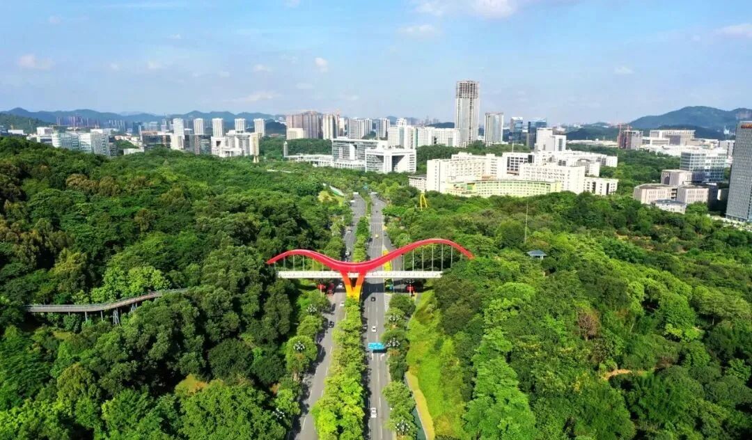 广州黄埔发文：严控建筑风貌，避免千城一面！