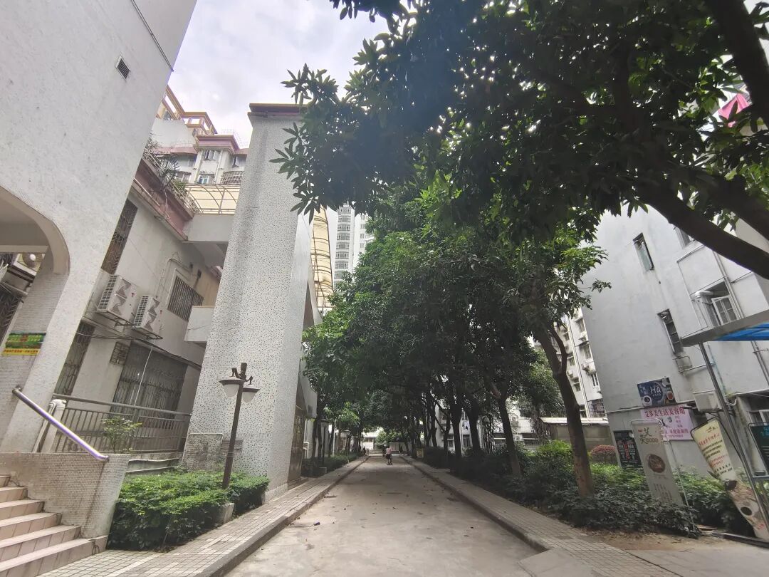 广州二手房金田花苑房价怎么样？金田花苑房源！