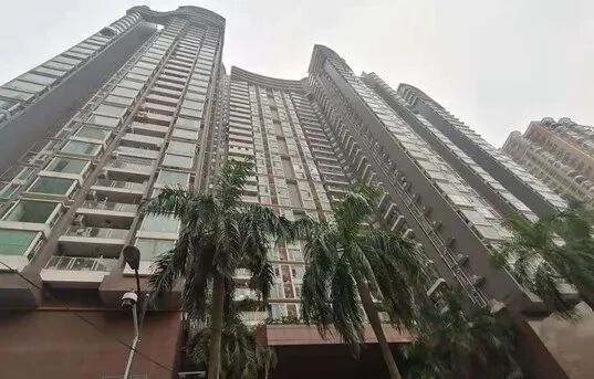 天河区龙口西小学及相关学位楼盘！