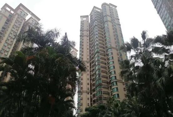 天河区龙口西小学及相关学位楼盘！