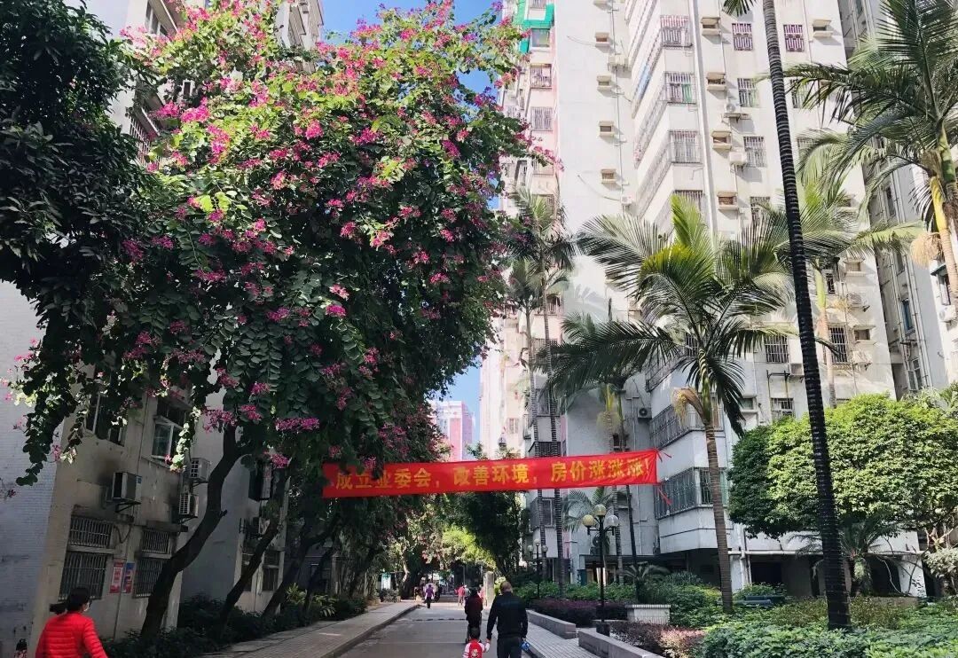 广州天河北二手房，龙口西学位房！