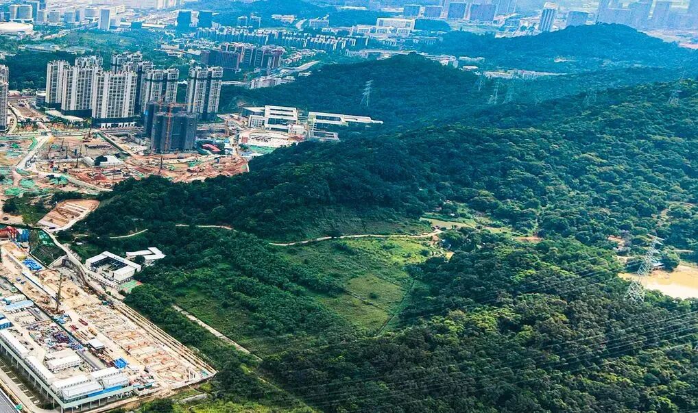 黄埔星樾山畔TOD、附双11特价房源！