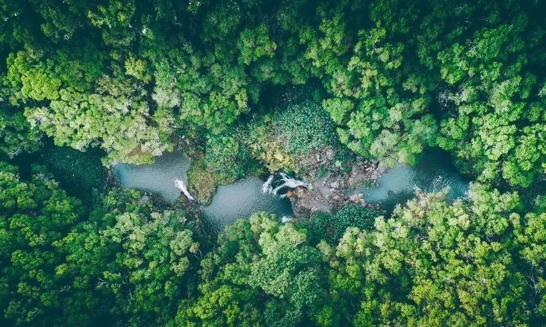 区位*日益凸显 黄陂的价值藏不住了