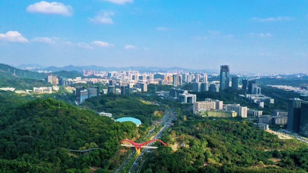 知识城板块热闹再现！5万-6万/㎡*盘即将入市