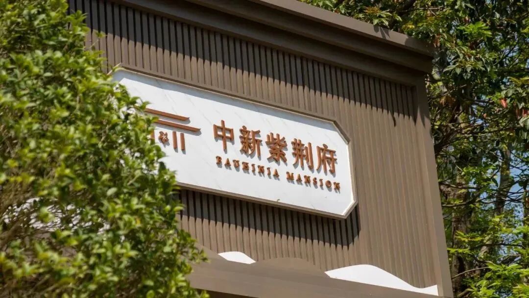 增城中新紫荆府正式开盘，值不值得入手？