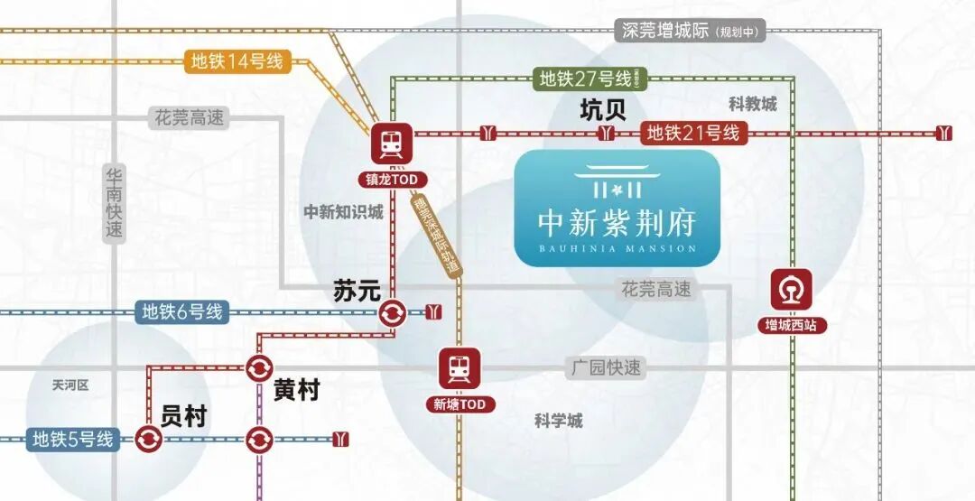 增城中新紫荆府正式开盘，值不值得入手？