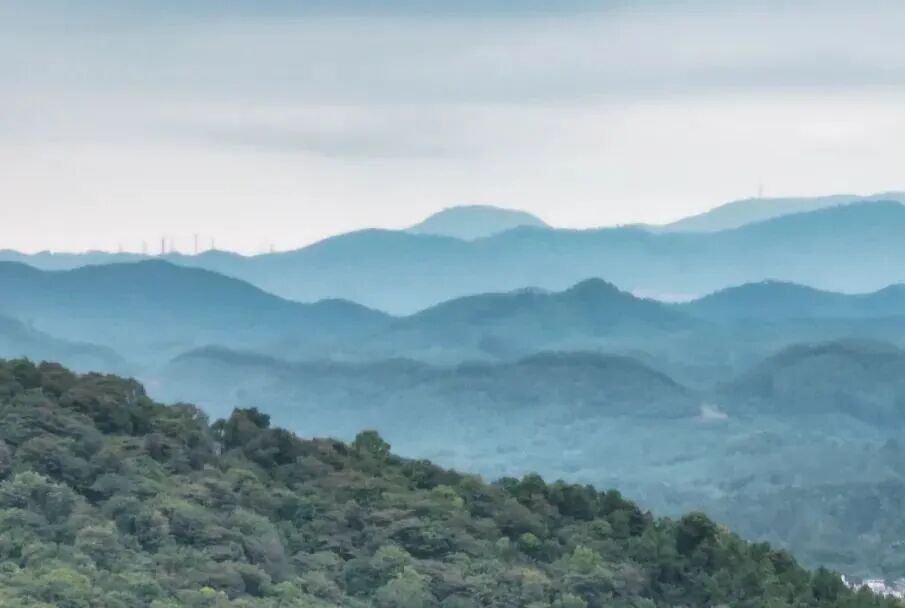 双十一提前打响，御溪世家准备百万购房礼炸市！
