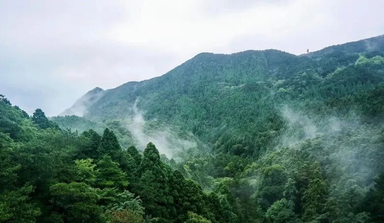 保利天汇双十一巨笋靓货！国庆上新，又被抢疯了！