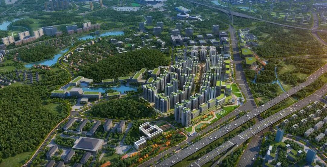 保利天汇双十一巨笋靓货！国庆上新，又被抢疯了！