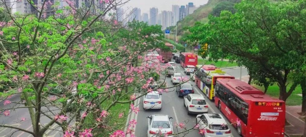 科学城新盘瑟瑟发抖！保利携南向小户型杀到了！