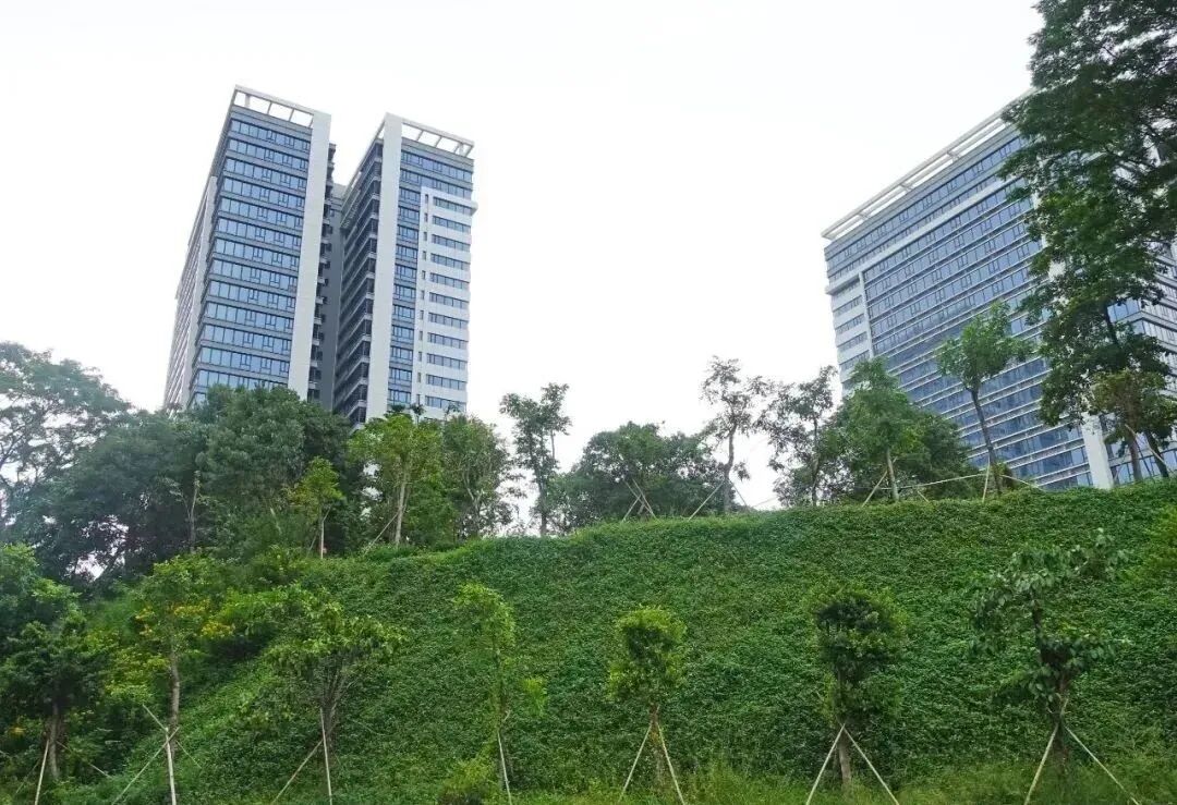 归谷Link现楼出售 黄埔科学城三*公寓