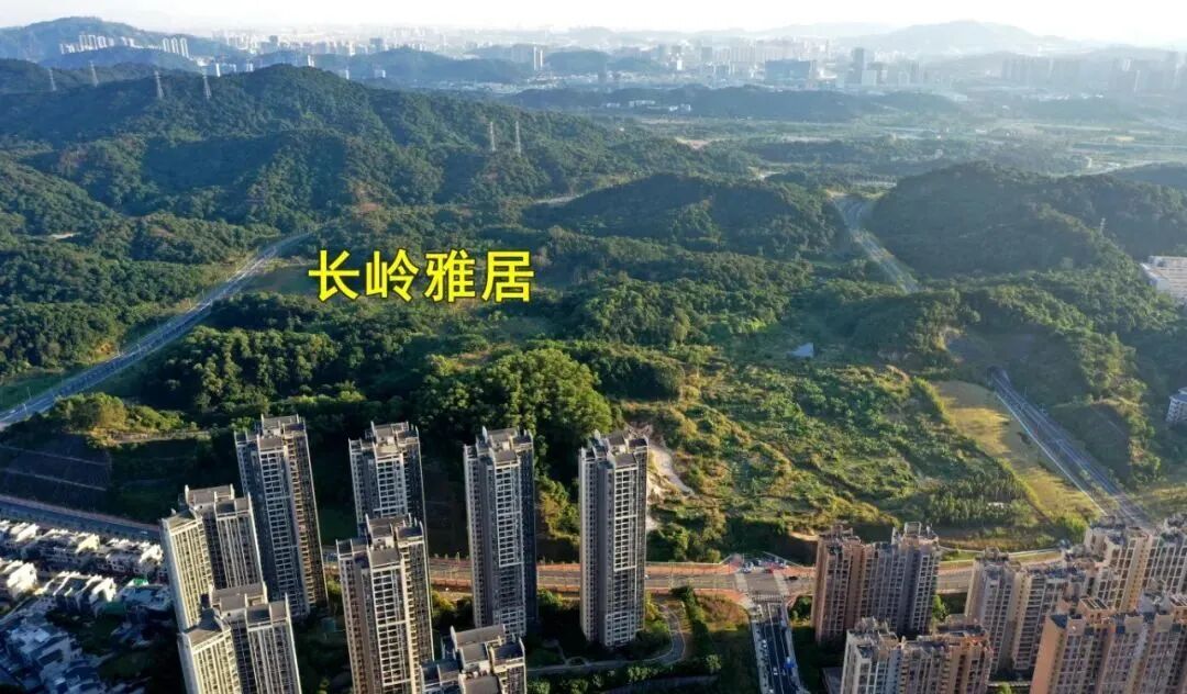 黄埔长岭居巨无霸住宅项目【长岭·雅居】来了！户型160-300㎡大平层！