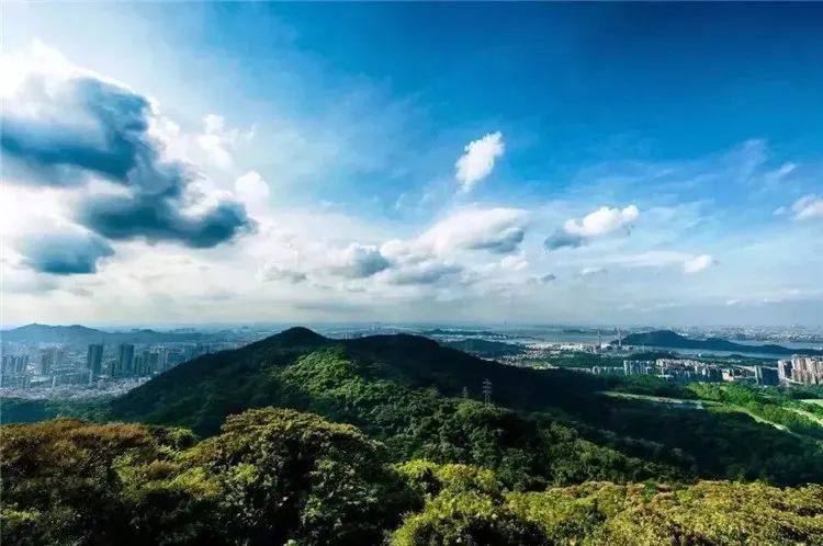 广州南沙在售豪宅，南沙湾御苑有洋房、有别墅！