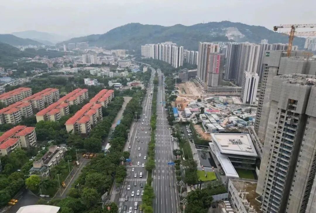 600万预算，在广州买房应该怎么样选？