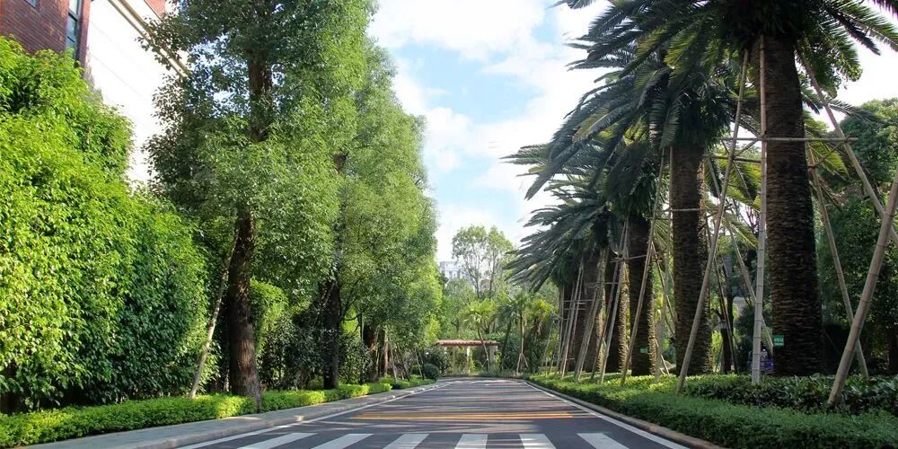 黄埔在售别墅，华标峰湖御境值不值得买?