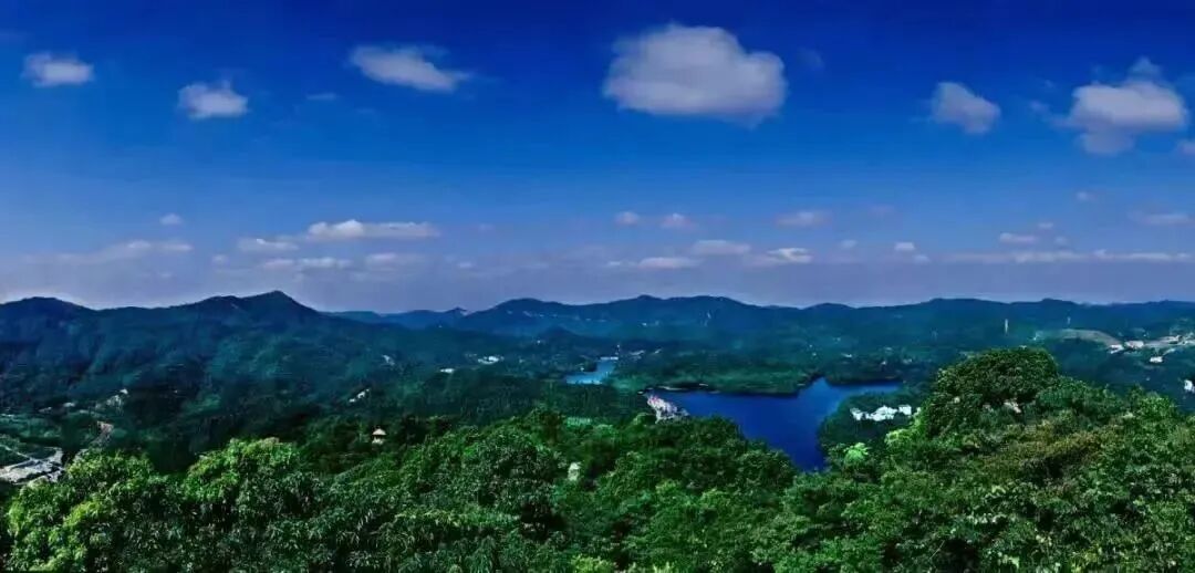 黄埔黄陂地铁口【保利翔龙天汇】南向98㎡三房总价410万！