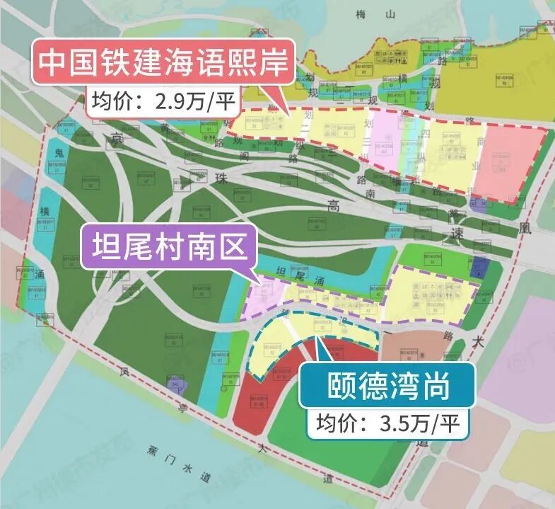 南沙版“滨江西”？坦尾村招标，曝出3栋小高层！