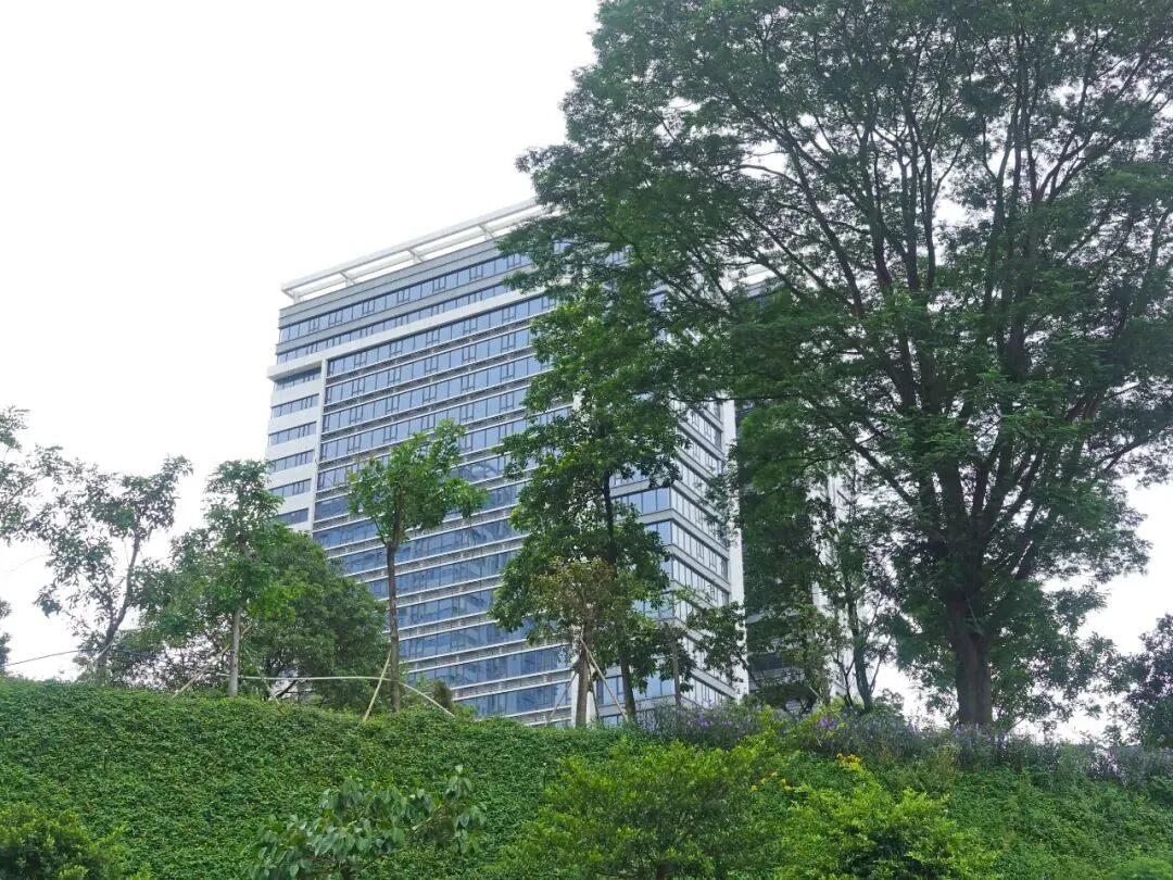 黄埔科学城 · 万达旁 · 三*公寓 │ 归谷link*付15万