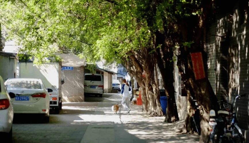 动真格！荔湾产业格局曝光，涉及多条旧改村