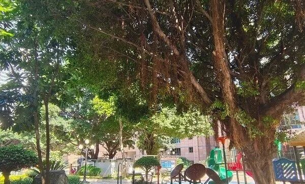 天河北二手房【金富苑】96平，总价660万！