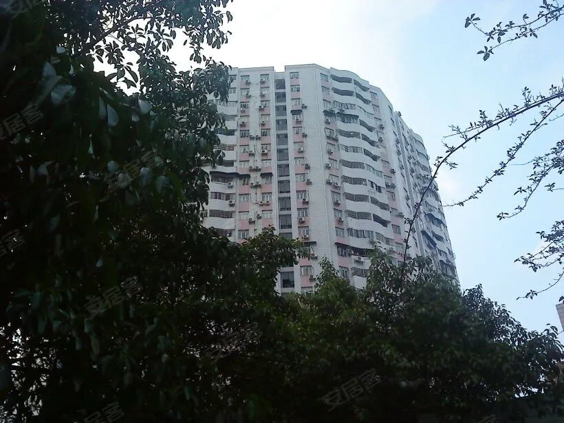 【二手笋盘】广州天河北天隆花苑，华师地铁口+龙口西小学学位