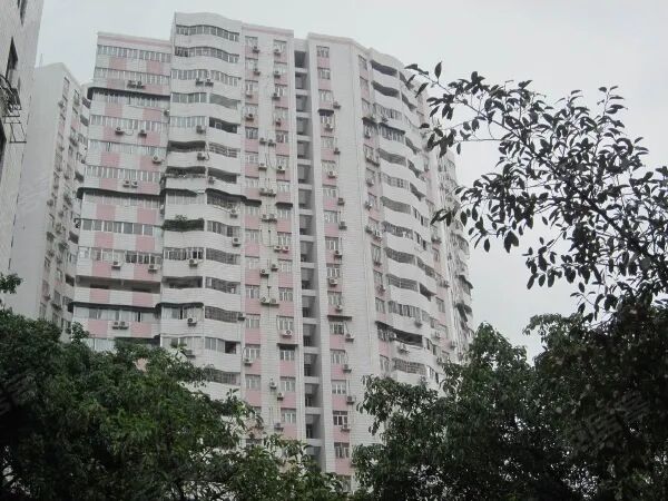 【二手笋盘】广州天河北天隆花苑，华师地铁口+龙口西小学学位