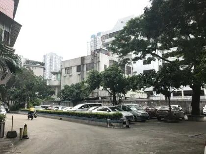 【二手笋盘】广州天河北天隆花苑，华师地铁口+龙口西小学学位
