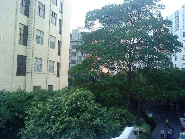 【二手笋盘】广州天河北天隆花苑，华师地铁口+龙口西小学学位