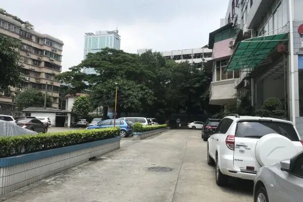 【二手笋盘】广州天河北天隆花苑，华师地铁口+龙口西小学学位