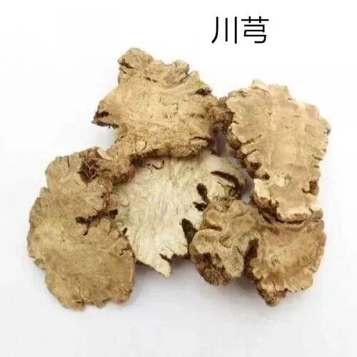 头痛当川芎遇上黄芪当归苍术