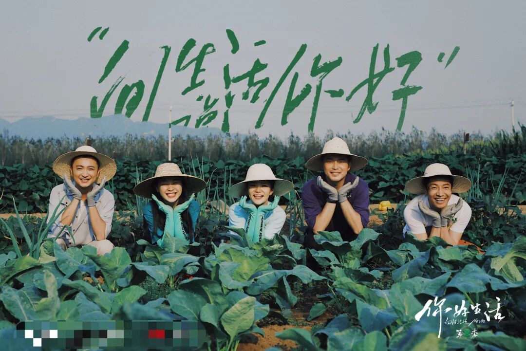 尼格买提 撒贝宁,央视boys靠生活的艺术带火慢综艺