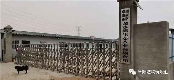 面粉石磨机价格多少_求石磨面粉机_石磨面粉机价格
