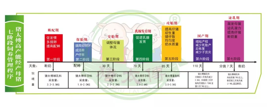 猪太傅饲料