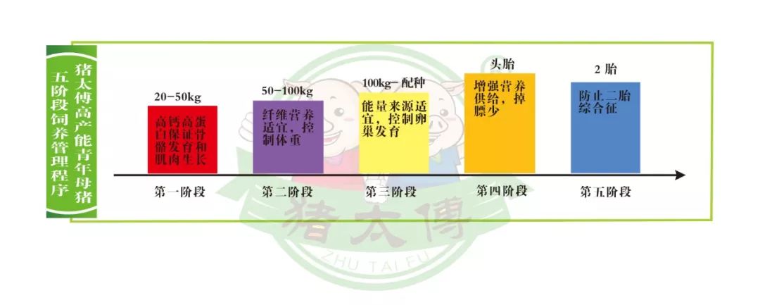 猪太傅饲料
