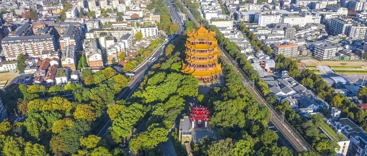 来了，武汉一周4场国家级盛会！