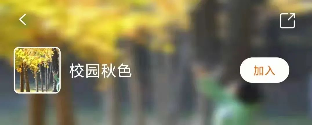美翻了!武漢秋天最好的樣子,就在這些校園里