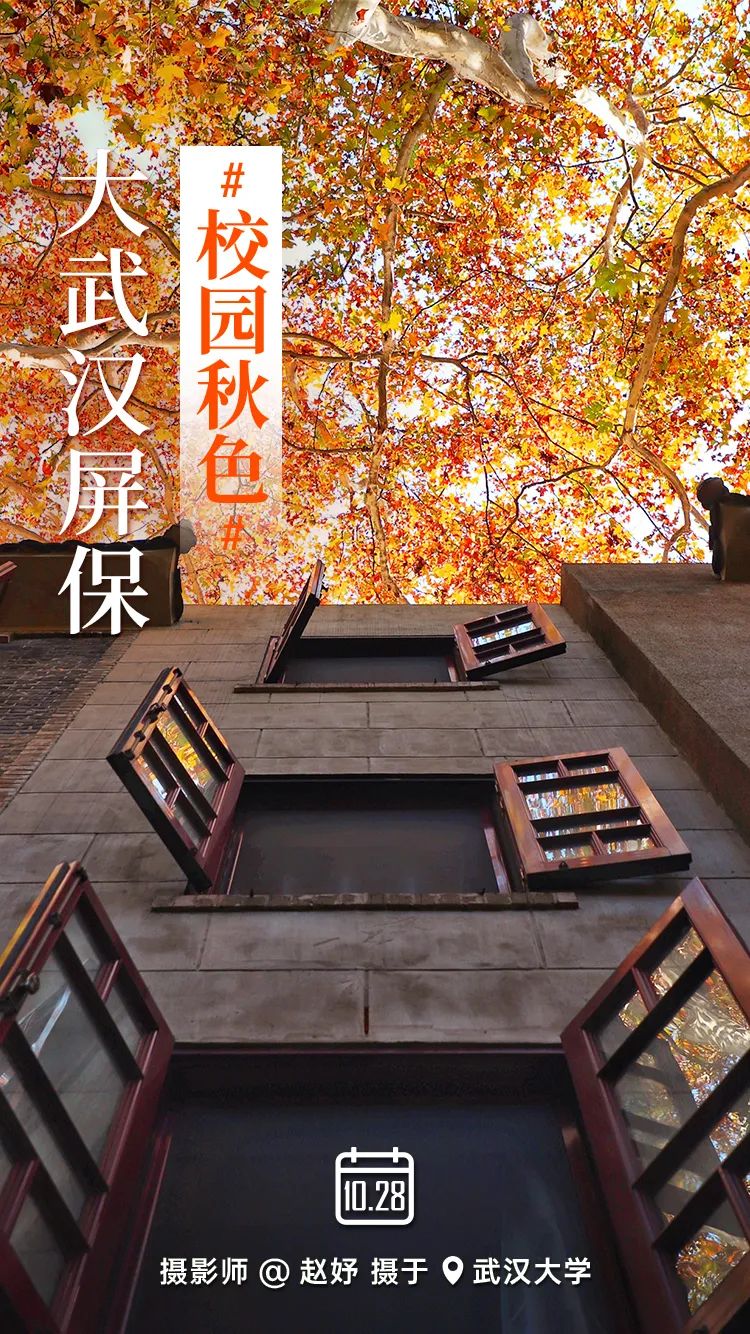 美翻了!武漢秋天最好的樣子,就在這些校園里