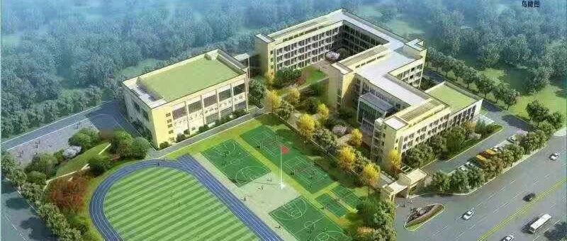 名单公布！武汉这个区一次性启用12所中小学、幼儿园