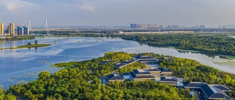 不只“光谷”，武汉集齐“四谷”了！