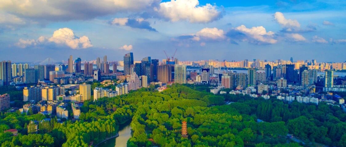 武汉又将打造一个亚洲之最！“头部企业”为啥都来了？