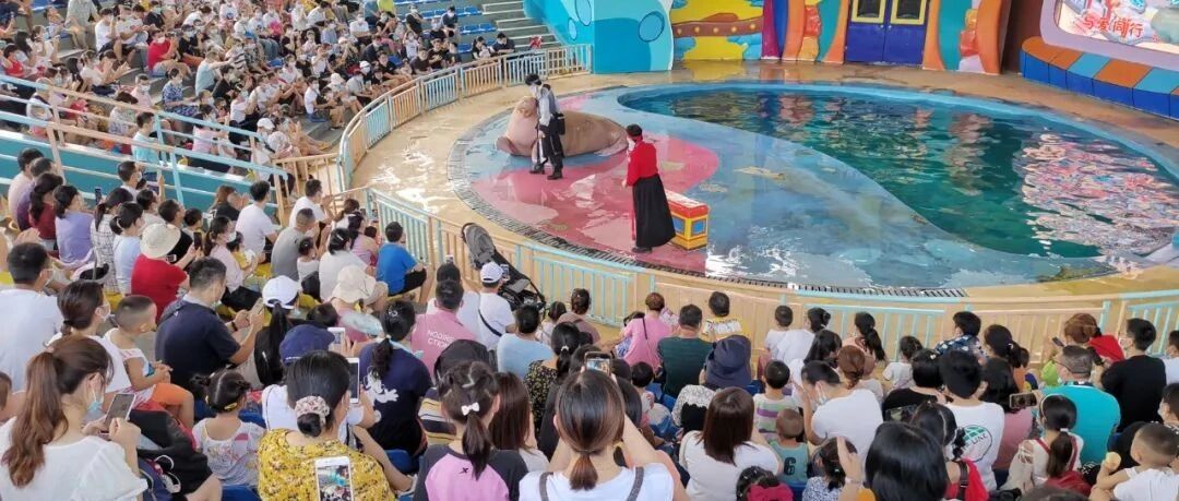 外地人一波一波组团来！各大景点每天近5万人打卡，出门必看