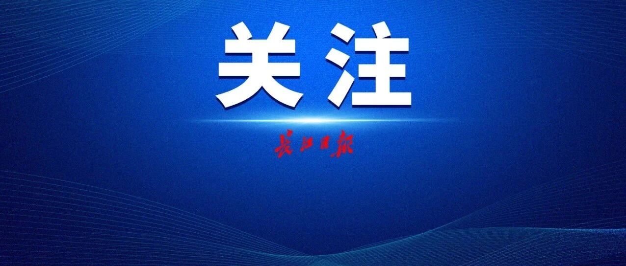 抢占制高点，请看武汉这份清单→