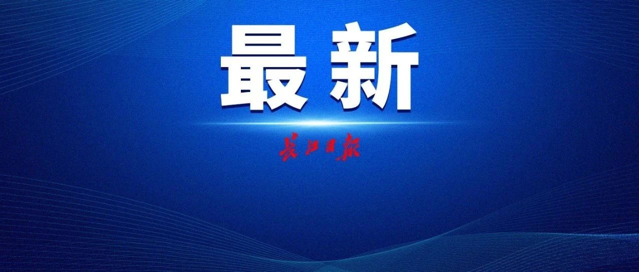 刚刚，武汉新成立一家国企!事关1000万人的工作