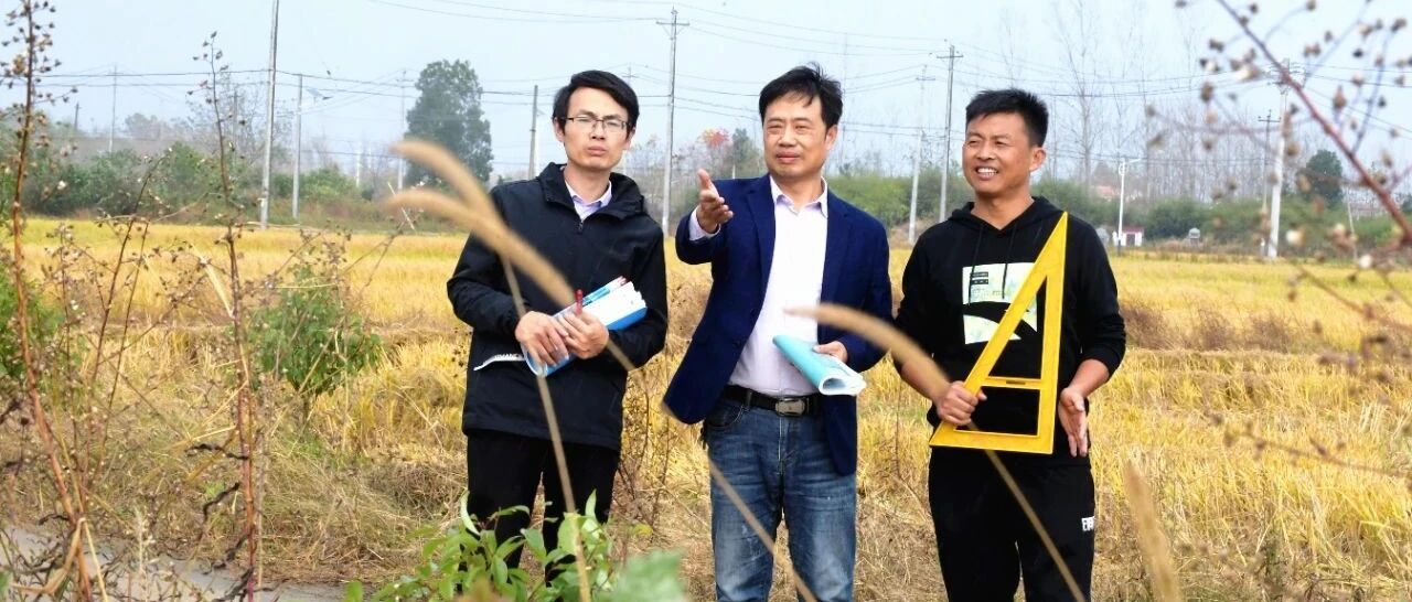 武汉这群老师上了热搜，网友：让他们火！